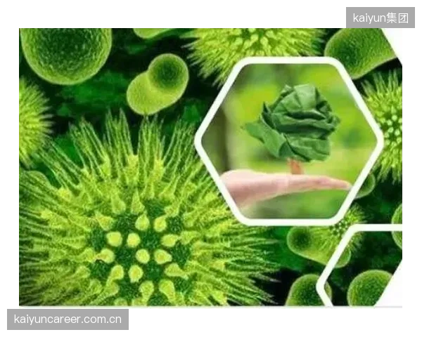 未来三年，体育装备生物基材料的主战场将从玉米、甘蔗等粮食作物，全面转向藻类、菌丝体等非粮来源
